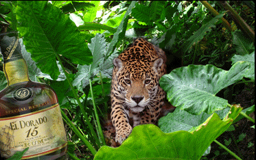 El Dorado Rum aus Guyana: Geschichte und Gegenwart eines CONALCO Top-Sellers